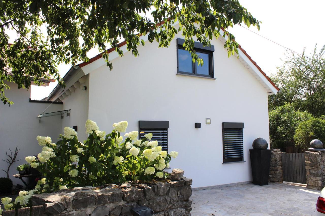 Colle Divino Apartment Würzburg Exterior foto